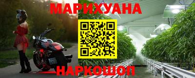 индика Будённовск