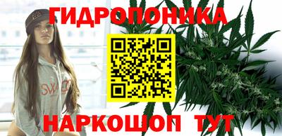 спайс Гатчина