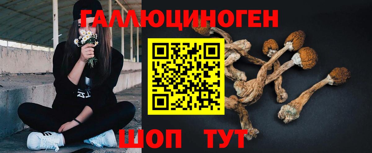 Псилоцибиновые грибы Magic Shrooms Кыштым
